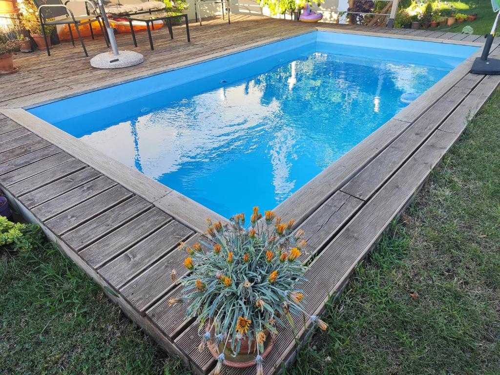 Shared pool at Casa Maria